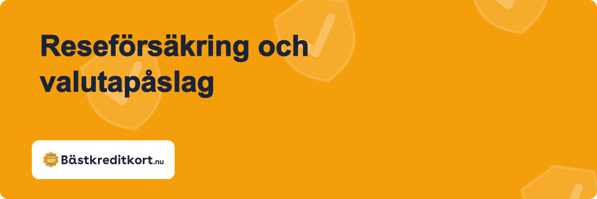 Reseförsäkring och valutapåslag