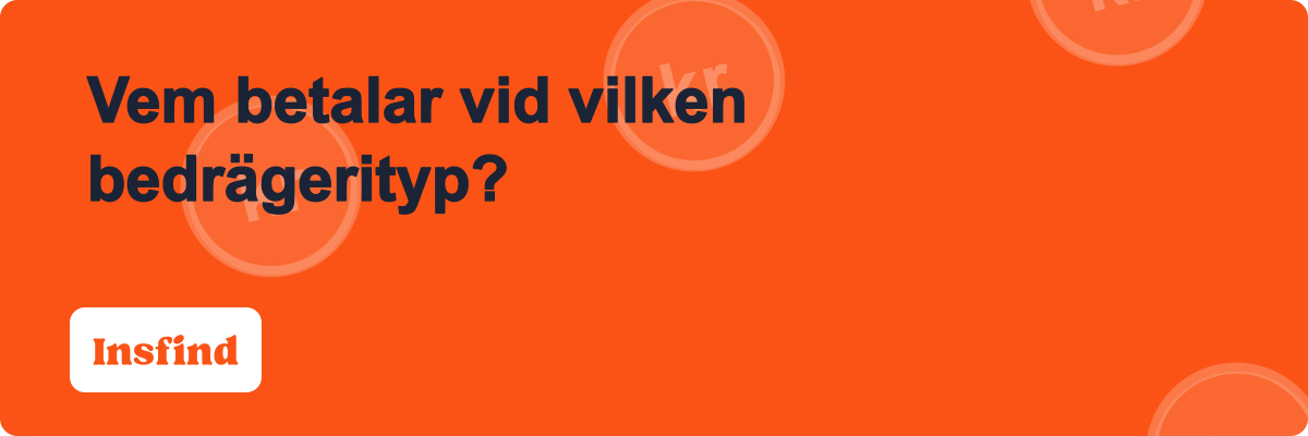 Vem betalar vid vilken bedrägerityp?
