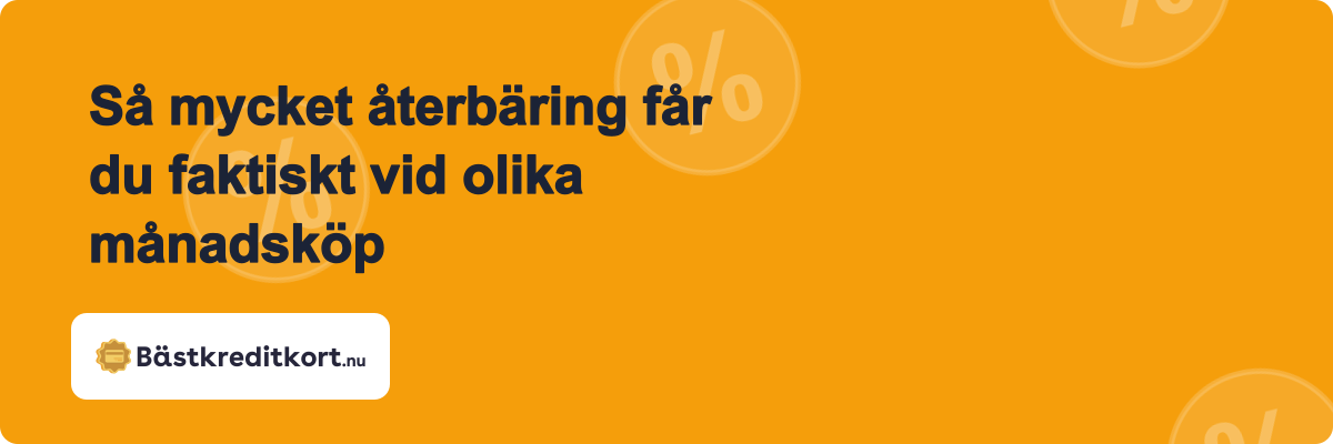 Så mycket återbäring får du faktiskt vid olika månadsköp