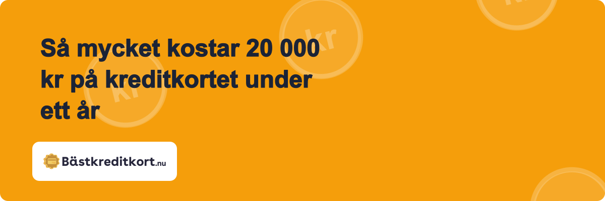 Så mycket kostar 20 000 kr på kreditkortet under ett år