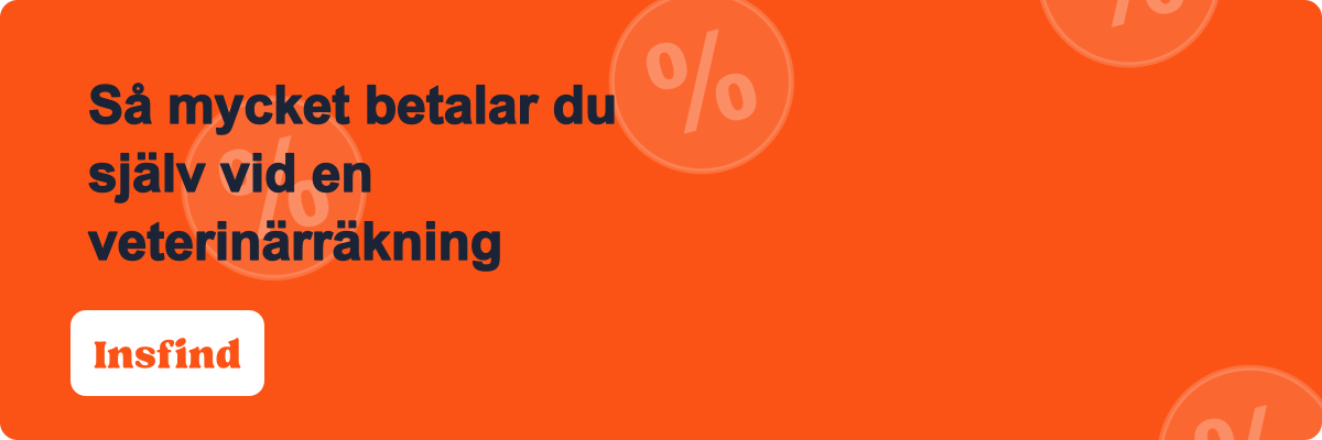 Så mycket betalar du själv vid en veterinärräkning