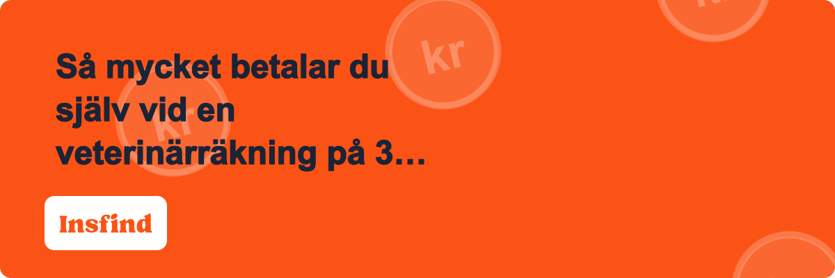 Så mycket betalar du själv vid en veterinärräkning på 30 000 kronor