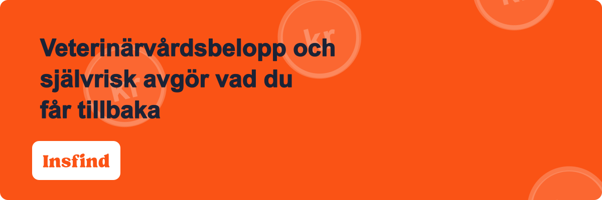 Veterinärvårdsbelopp och självrisk avgör vad du får tillbaka