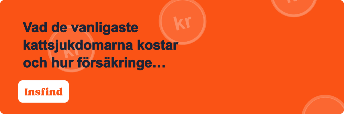 Vad de vanligaste kattsjukdomarna kostar och hur försäkringen ersätter dem