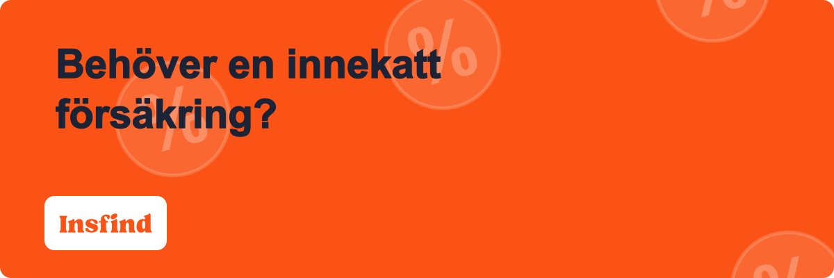 Behöver en innekatt försäkring?