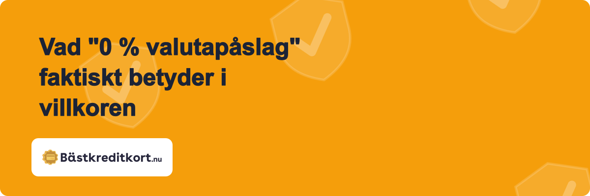 Vad "0 % valutapåslag" faktiskt betyder i villkoren
