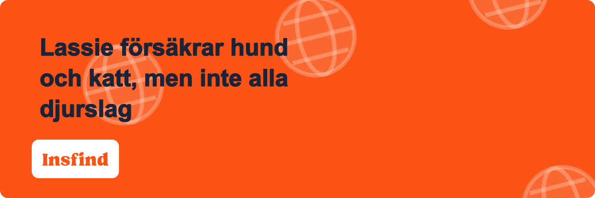 Lassie försäkrar hund och katt, men inte alla djurslag