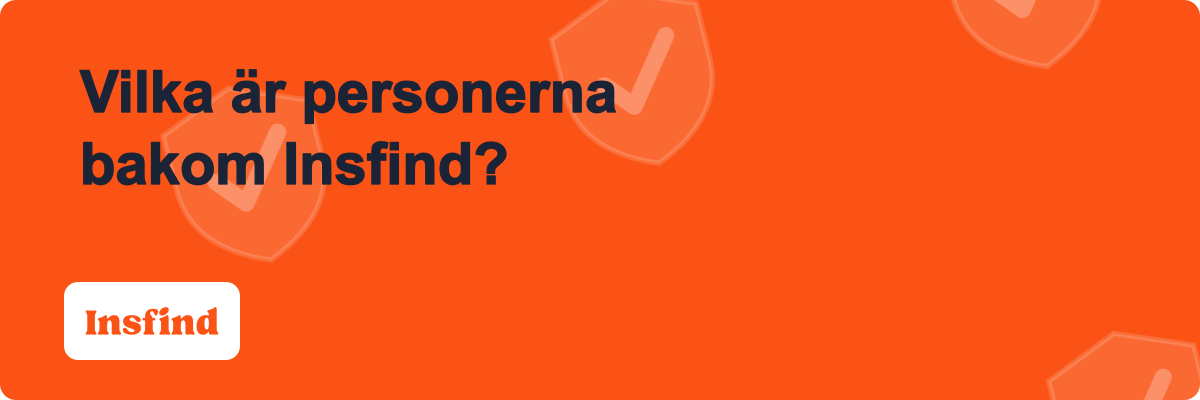 Vilka är personerna bakom Insfind?
