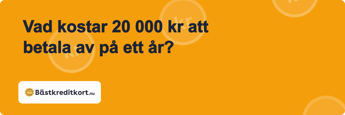 Vad kostar 20 000 kr att betala av på ett år?